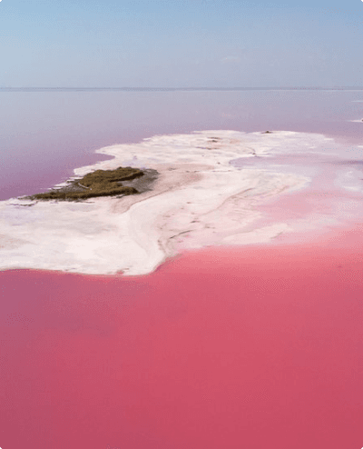 /images/salt_lake.png
